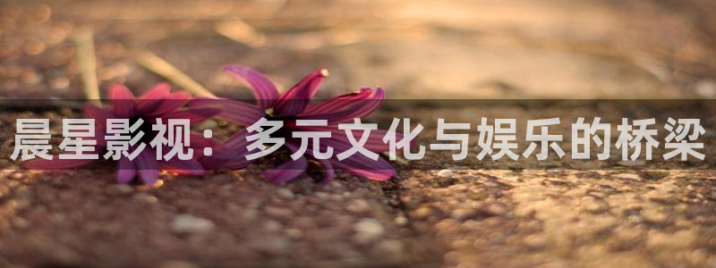 欧美电影美丽的小蜜桃